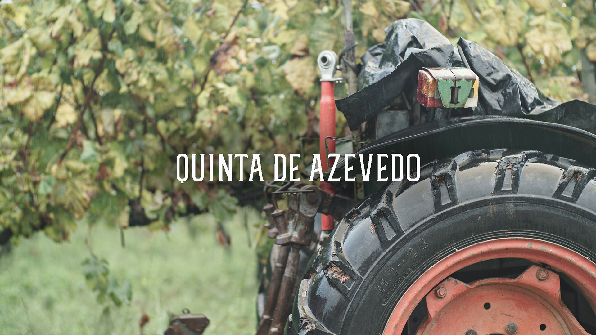 Azevedo